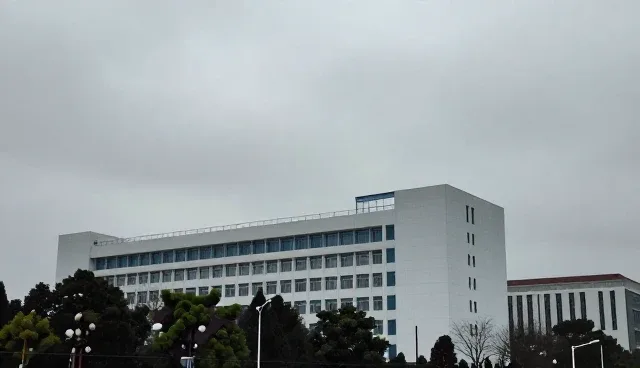 商户提供运输中仓储管理对效率的影响